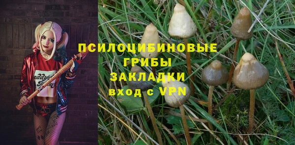твердый Вязьма