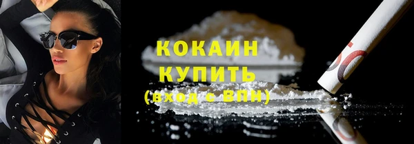 гидра Сосновый Бор