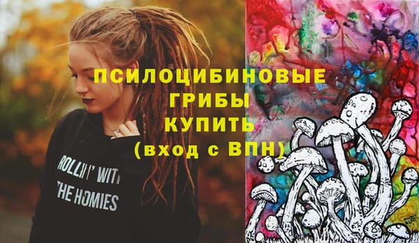 дмт Володарск