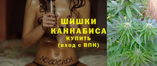 гидра Сосновый Бор