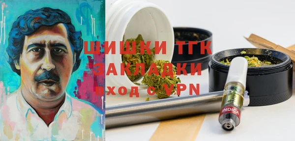 дурь Вяземский